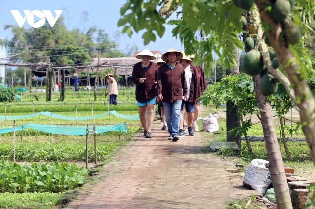 tourists flock to unesco-recognized heritage city of hoi an during tet holiday picture 9