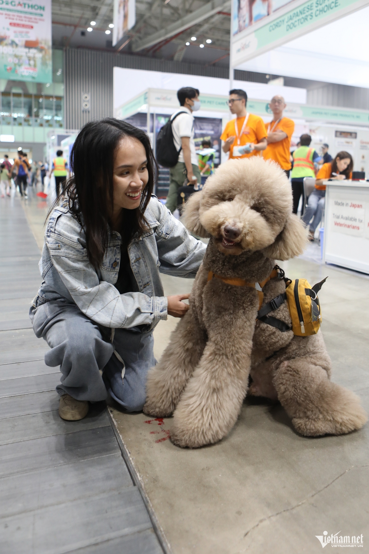 pet owners dress up their furry friends for special fashion contest picture 10