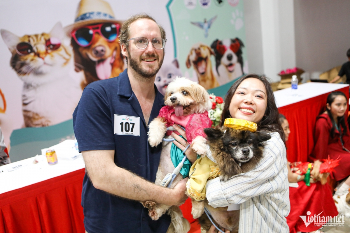 pet owners dress up their furry friends for special fashion contest picture 3