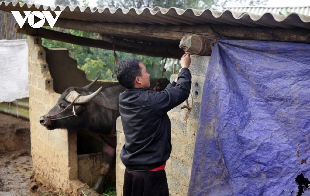 vung cao lao cai chu dong phong, chong truoc du bao ret dam, ret hai hinh anh 1