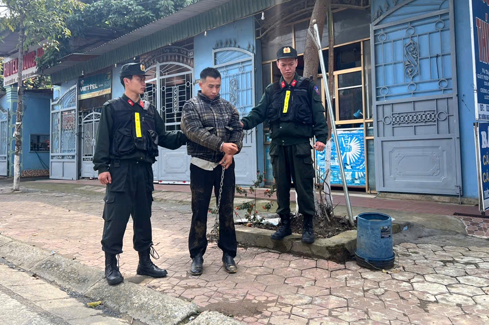 bat giu doi tuong cuop giat tao ton tai lai chau hinh anh 2