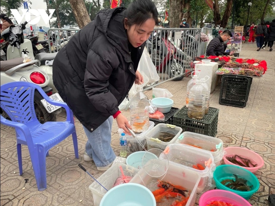 hanoi s pagodas packed ahead of first full moon festival picture 4