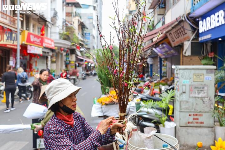 gia hang hoa sau tet ha nhiet , cau van cao ngat nguong hinh anh 5