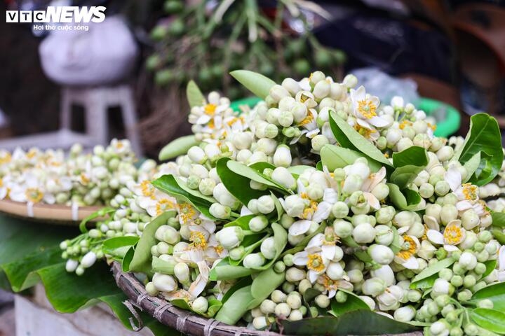 gia hang hoa sau tet ha nhiet , cau van cao ngat nguong hinh anh 7