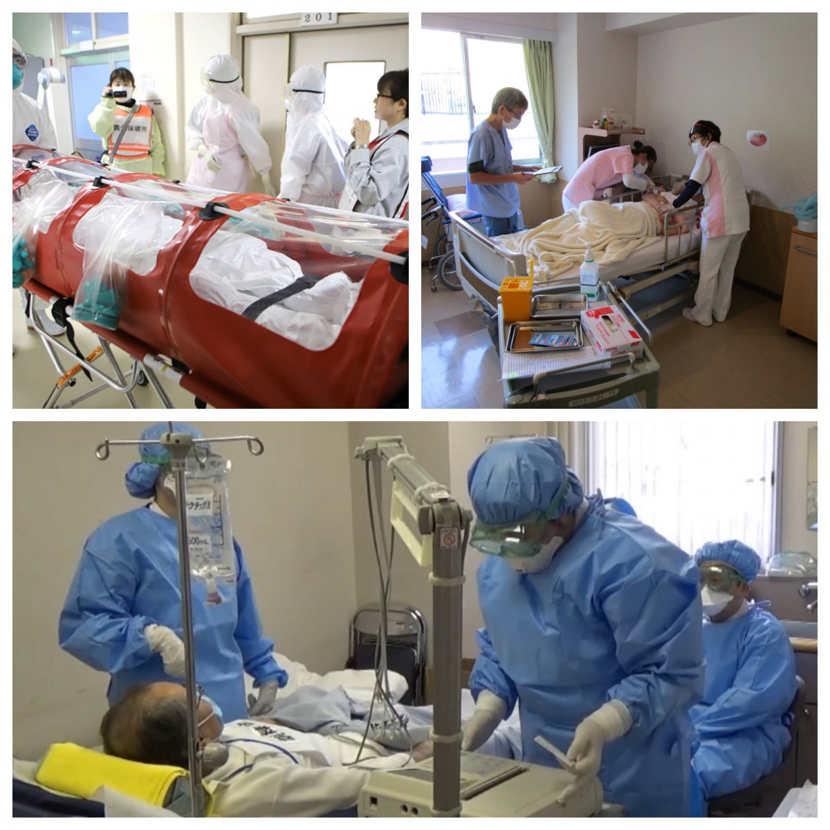 dịch cúm tại nhật bản và câu chuyện đáng suy ngẫm tại việt nam hình ảnh 1 dich cum tai nhat ban va cau chuyen dang suy ngam tai viet nam hinh anh 1