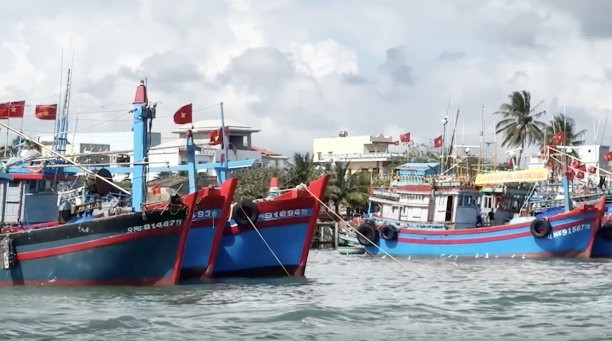 ngư dân quảng ngãi sẵn sàng cho mùa biển mới hình ảnh 3 ngu dan quang ngai san sang cho mua bien moi hinh anh 3