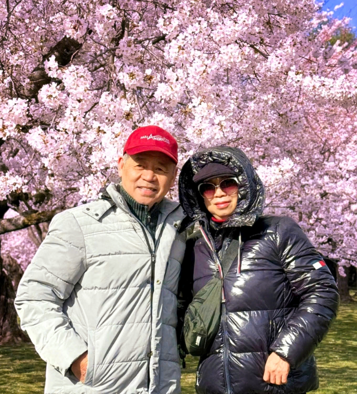 pan american travel ra mắt tour du lịch ngắm hoa anh đào tại châu mỹ và châu Âu hình ảnh 2 pan american travel ra mat tour du lich ngam hoa anh dao tai chau my va chau Au hinh anh 2
