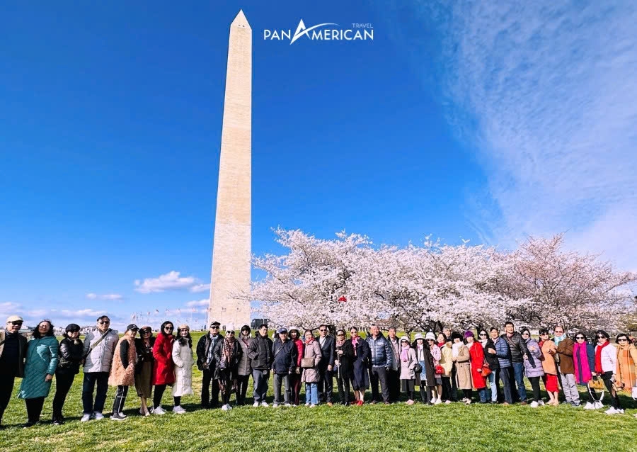 pan american travel ra mắt tour du lịch ngắm hoa anh đào tại châu mỹ và châu Âu hình ảnh 1 pan american travel ra mat tour du lich ngam hoa anh dao tai chau my va chau Au hinh anh 1