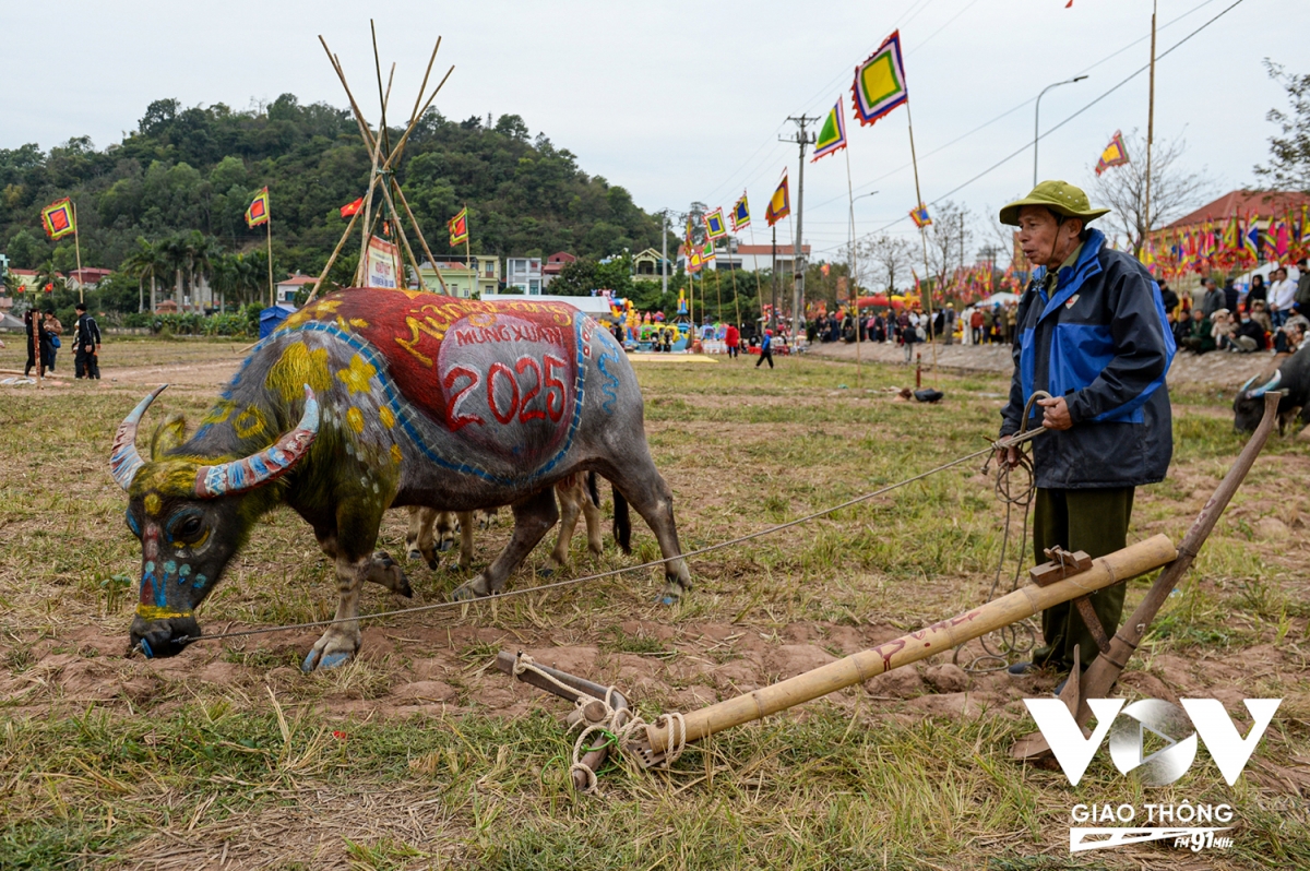 cu ong 75 tuoi khoac hoang bao cay ruong trong le tich dien hinh anh 11