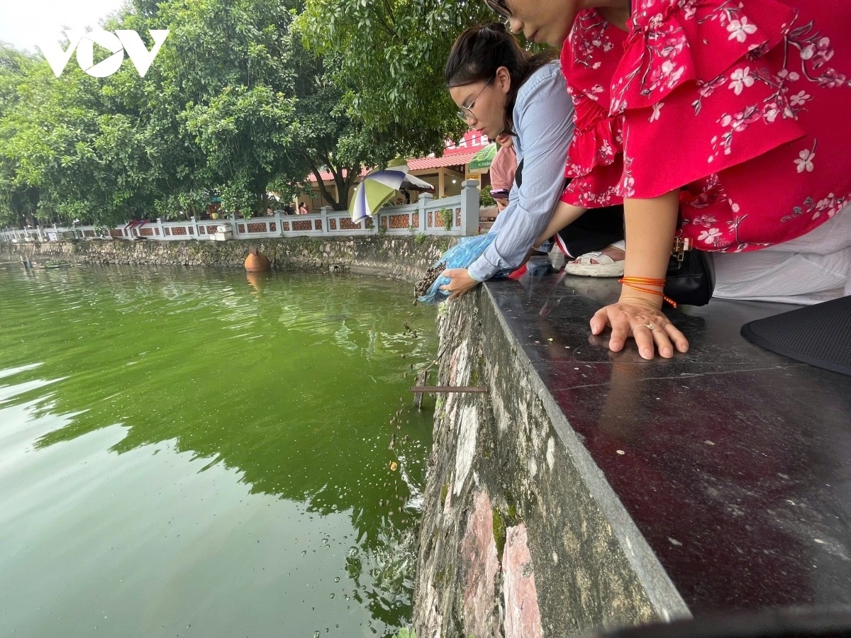 tap nap nguoi di le dip ram thang gieng, e am do phong sinh hinh anh 7