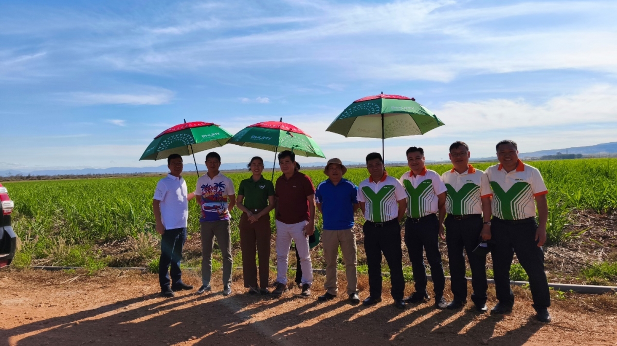phu my thuc day hop tac nong nghiep tai lao hinh anh 3