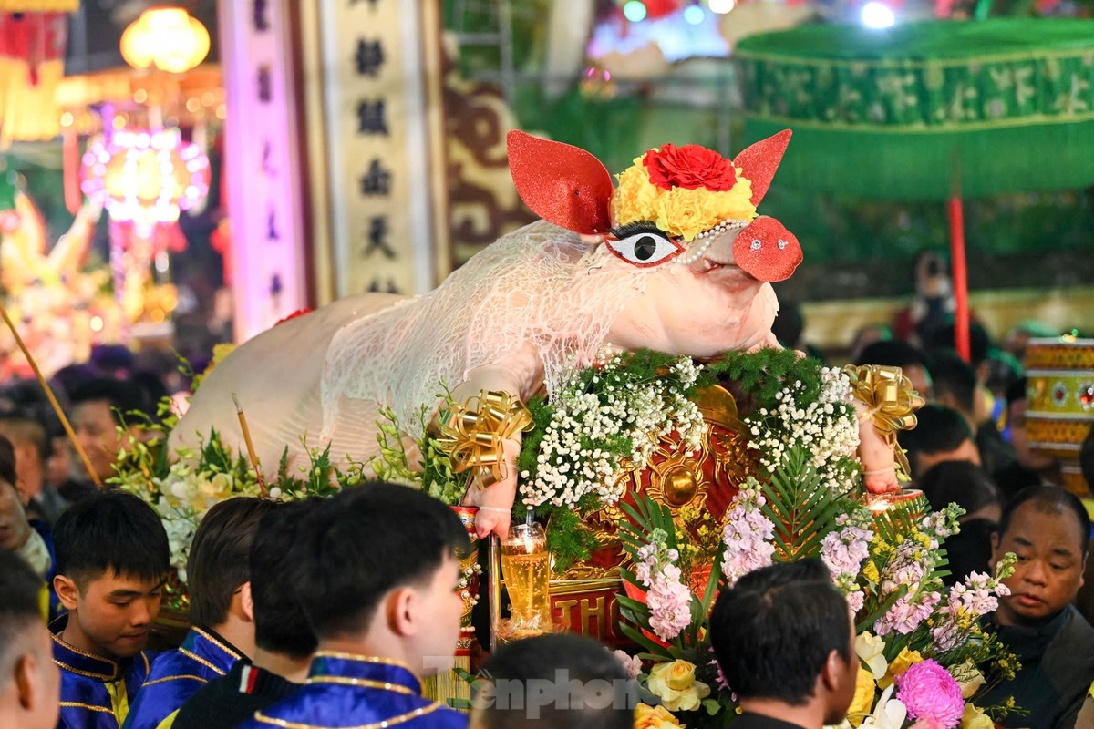 unique pig procession festival in hanoi s la phu village picture 5 unique pig procession festival in hanoi s la phu village picture 5