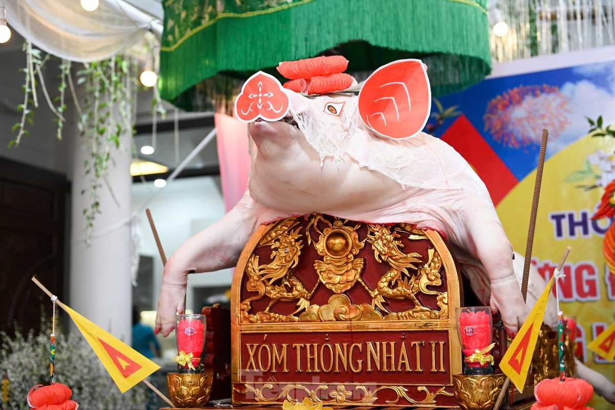 unique pig procession festival in hanoi s la phu village picture 8 unique pig procession festival in hanoi s la phu village picture 8