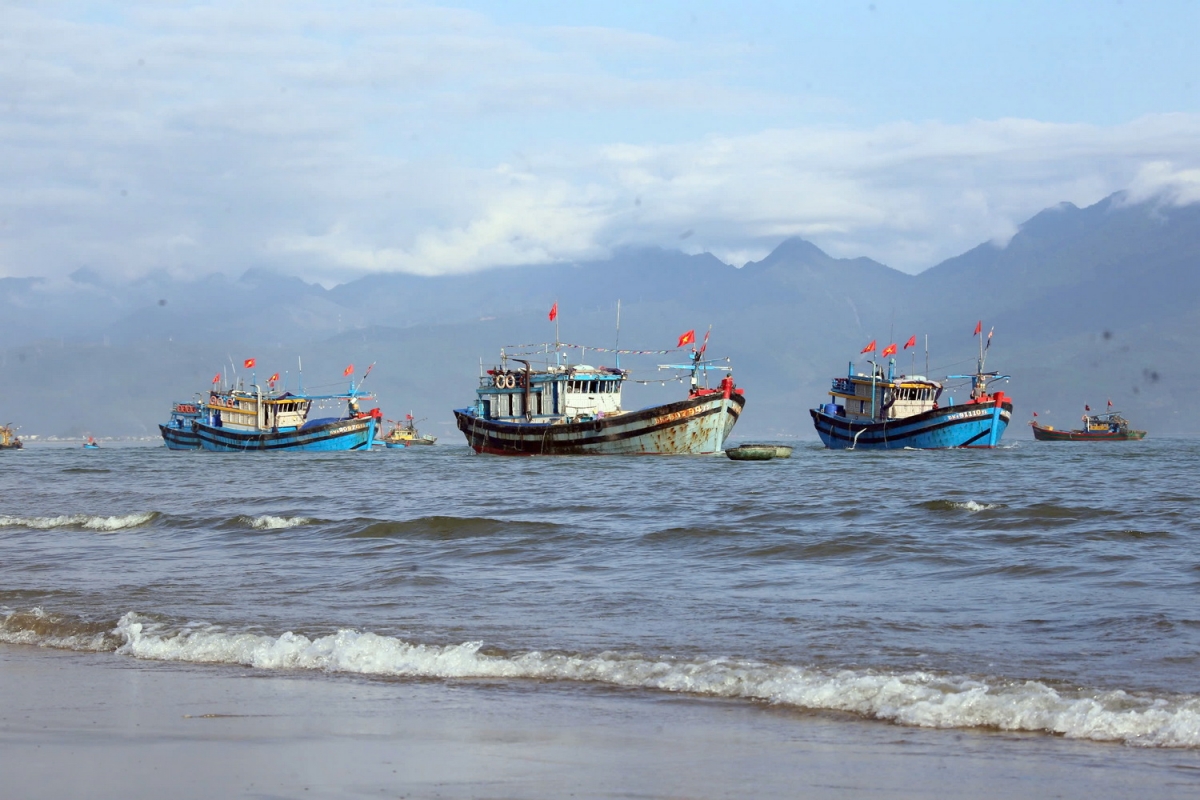 Đà nẵng tổ chức lễ hội cầu ngư mở chuyến biển mới hình ảnh 5 Da nang to chuc le hoi cau ngu mo chuyen bien moi hinh anh 5