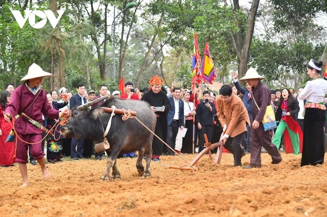 president underscores cultural heritage, national unity at ethnic festival picture 8
