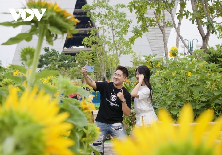 young people hunt for stunning photos at sunflower field by saigon river picture 4