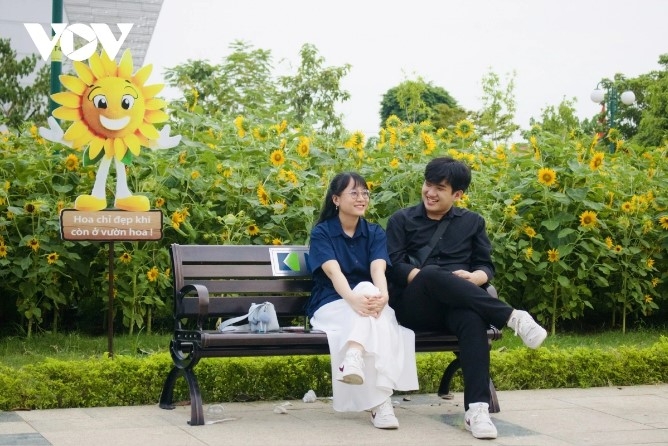 young people hunt for stunning photos at sunflower field by saigon river picture 9