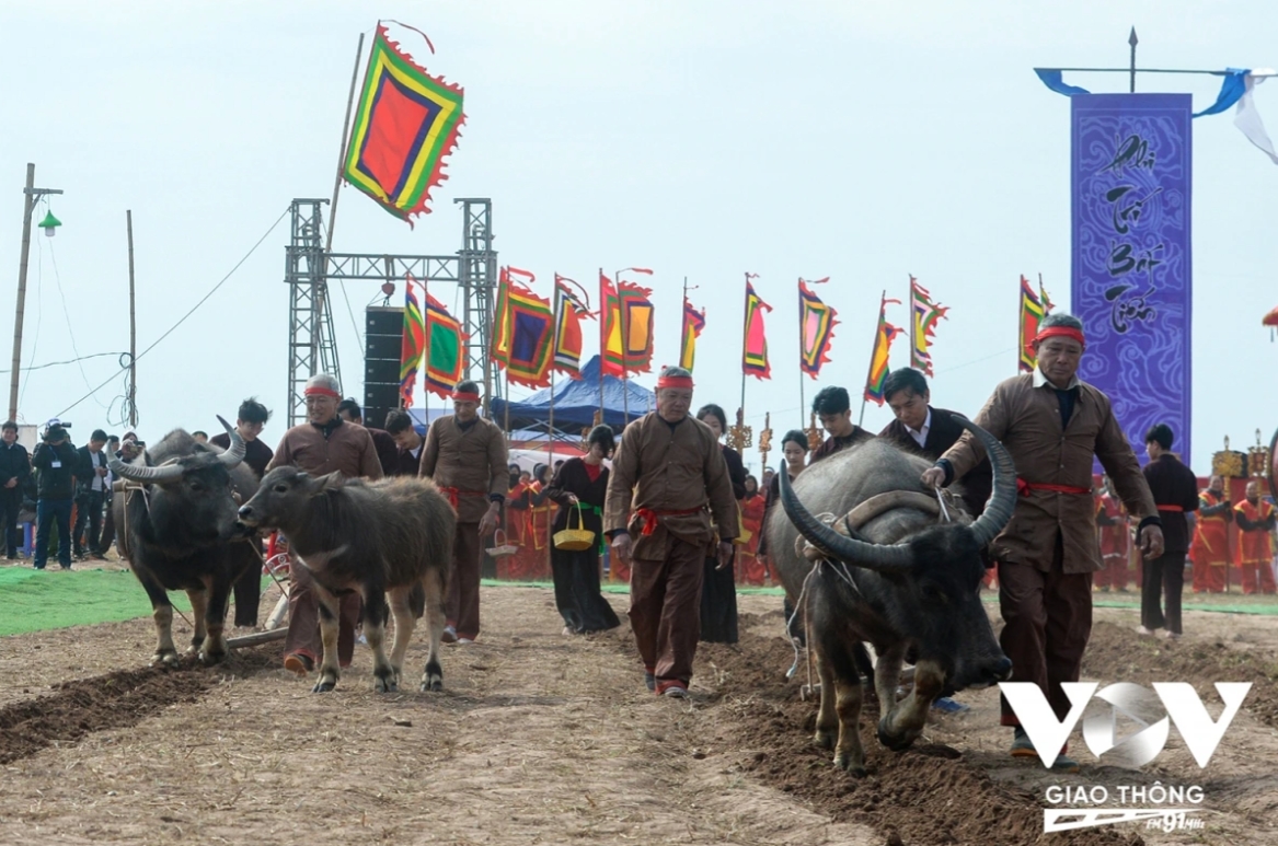 traditional ploughing festival wishes for bumper harvests picture 8