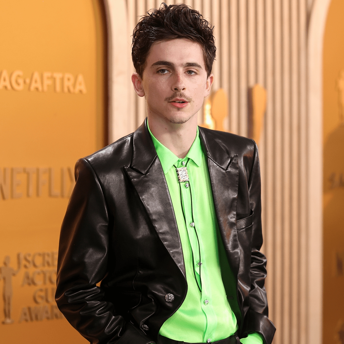 timothee chalamet lieu co the cham tay toi tuong vang oscar hinh anh 6