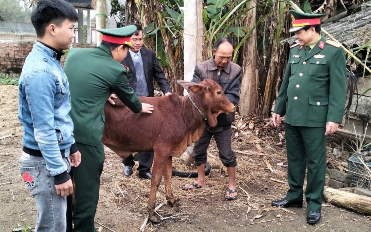 quảng bình tặng bò giúp gia đình hoàn cảnh khó khăn có thanh niên nhập ngũ hình ảnh 3 quang binh tang bo giup gia dinh hoan canh kho khan co thanh nien nhap ngu hinh anh 3