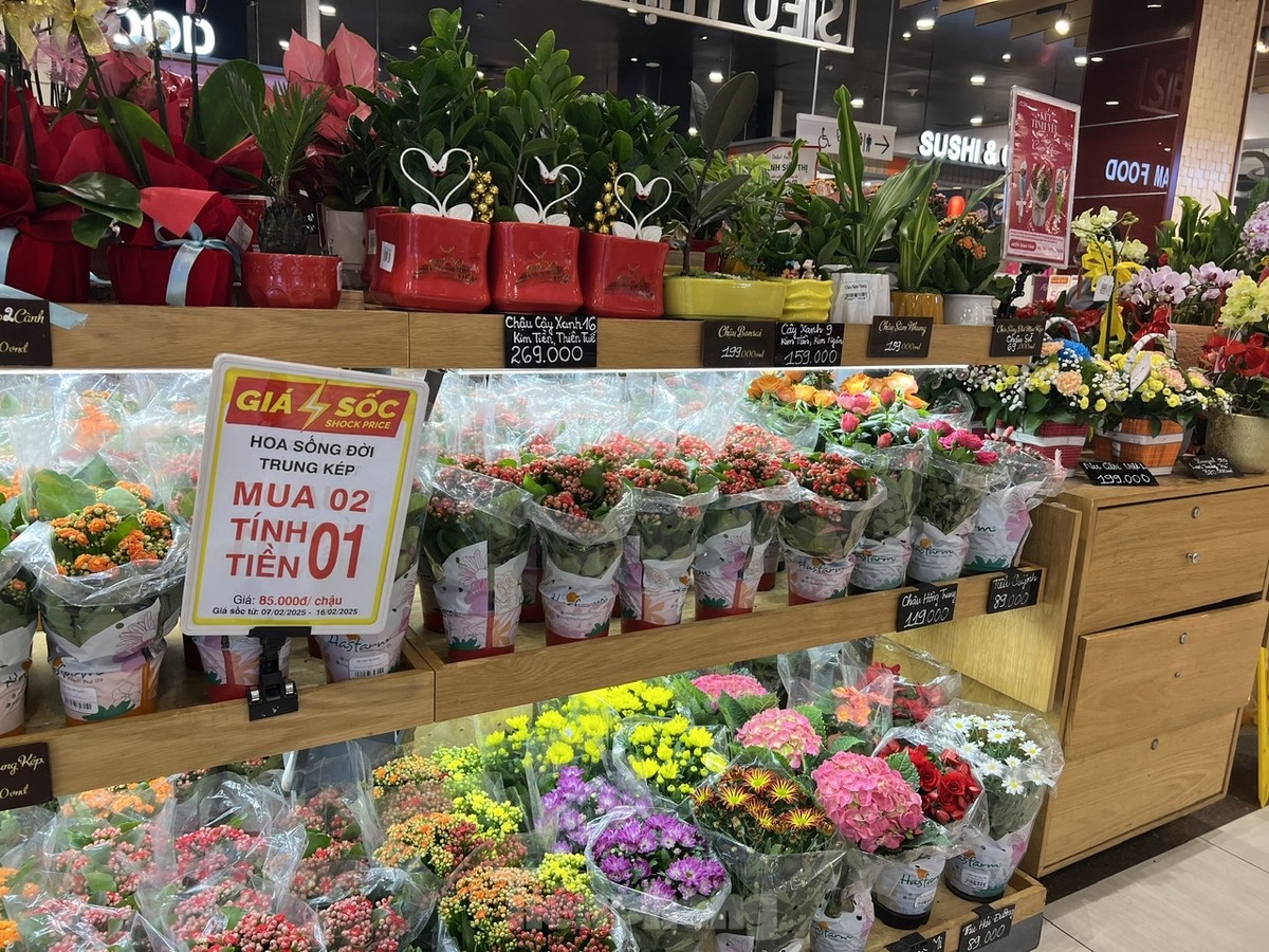 bustling valentine s day gift market picture 10 bustling valentine s day gift market picture 10