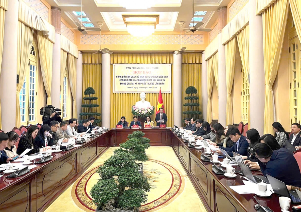 new laws on organization of gov t, legislature, local governments promulgated picture 1