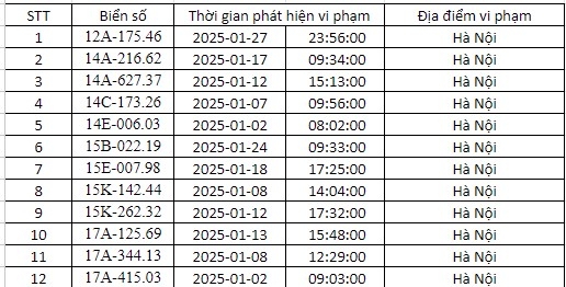 danh sach o to bi phat nguoi tai ha noi trong thang 1 2025 hinh anh 1