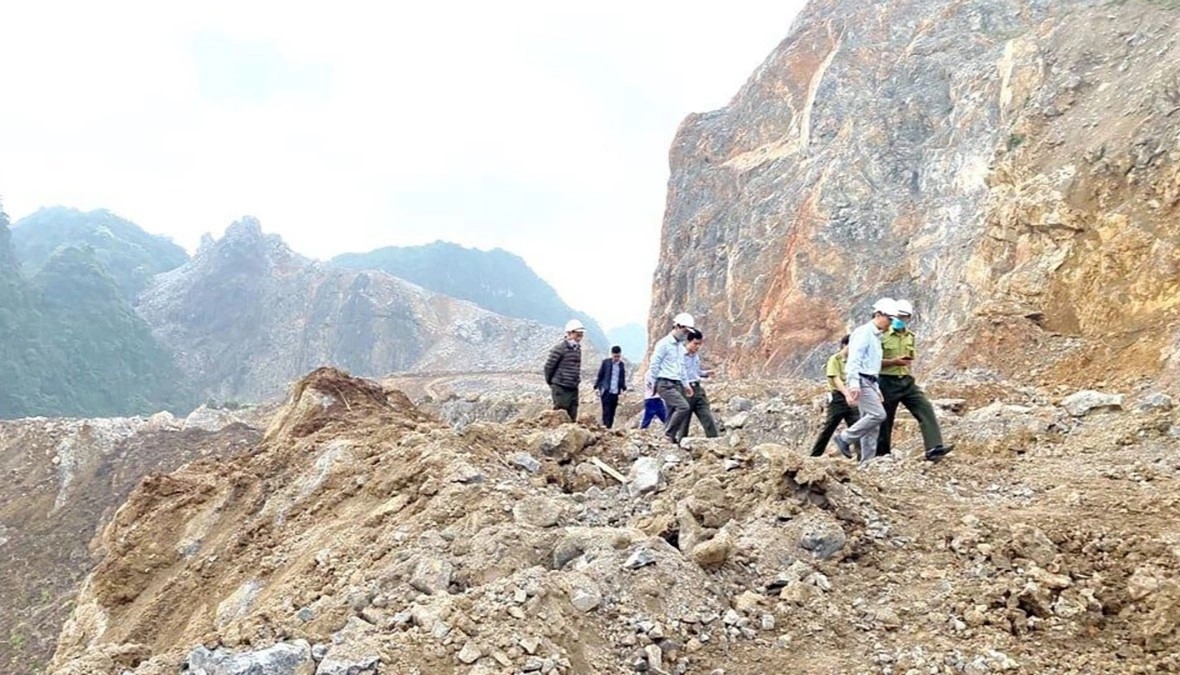 vi sao phai chuyen doi 38ha rung phong ho tu nhien o ninh binh de san xuat xi mang hinh anh 1