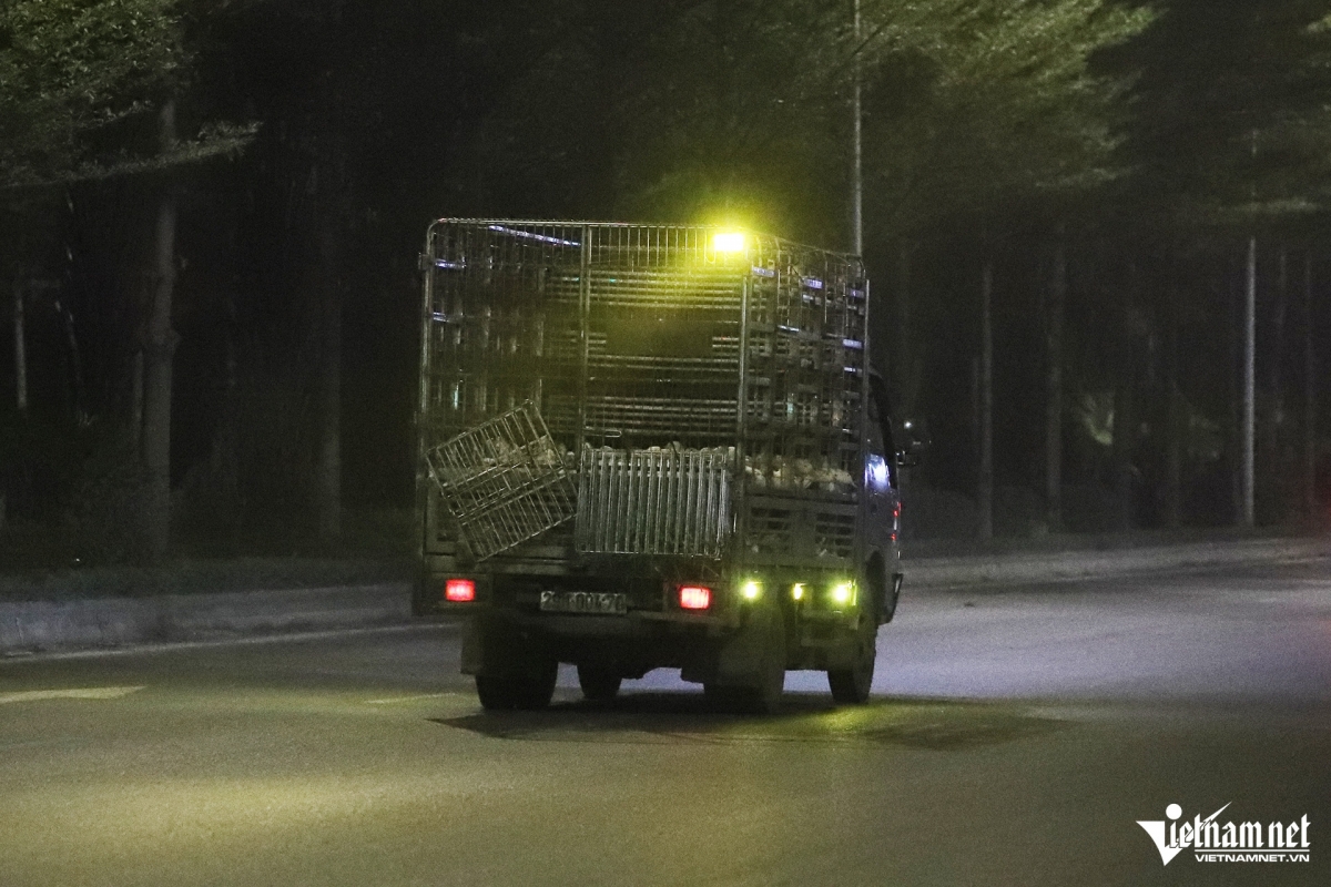 Ô tô tải lắp đèn led siêu sáng gây mù tạm thời người đi ngược chiều hình ảnh 11 O to tai lap den led sieu sang gay mu tam thoi nguoi di nguoc chieu hinh anh 11