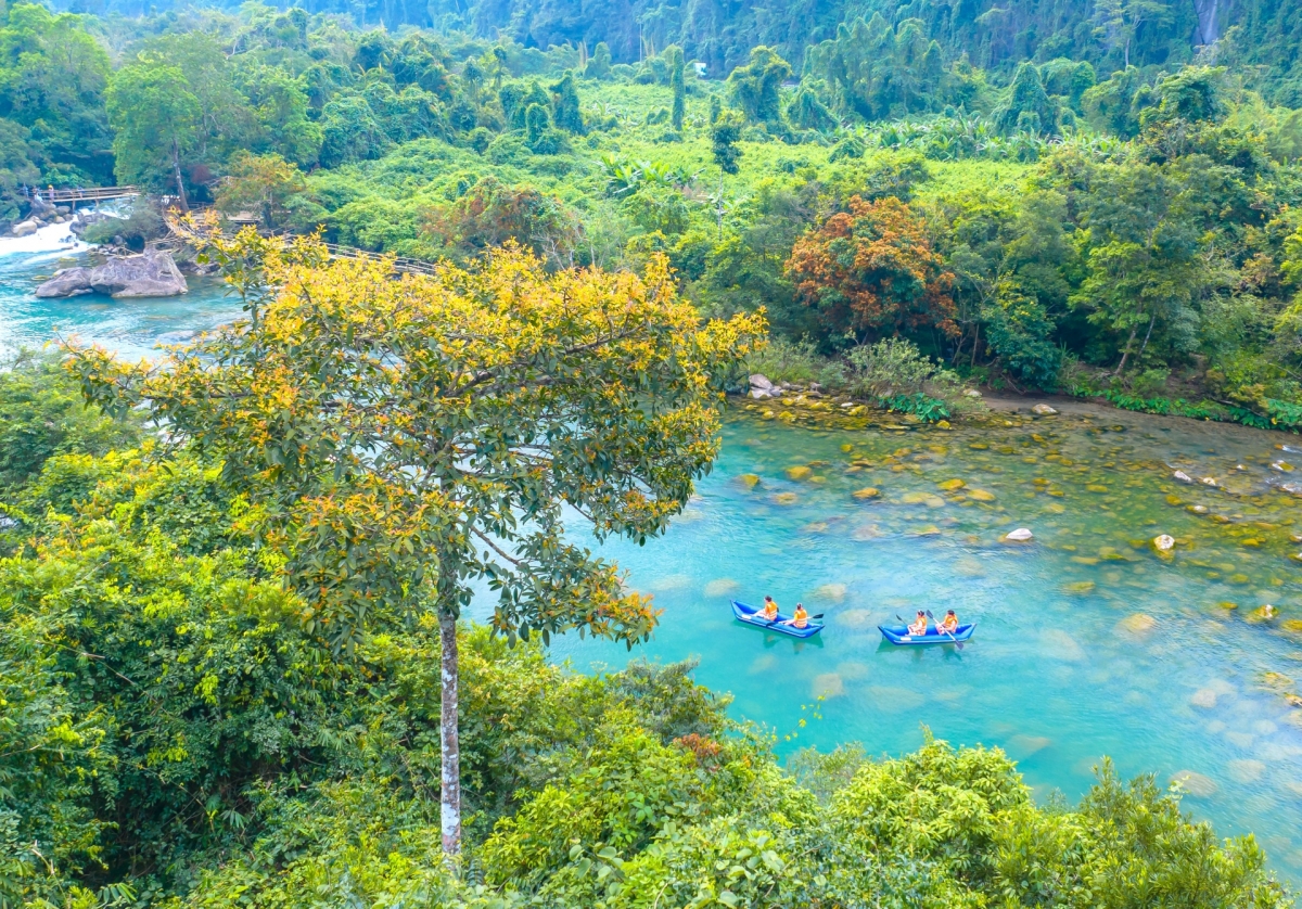 hoa vang anh no ro ben suoi mooc trong long di san thien nhien the gioi hinh anh 1