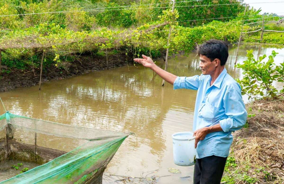 cà mau mở hướng đi từ trồng nho làm du lịch ven thành phố hình ảnh 4 ca mau mo huong di tu trong nho lam du lich ven thanh pho hinh anh 4