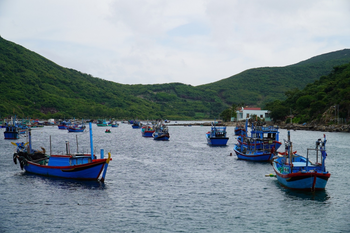 Làng chài trên vịnh Nha Trang phấn đấu đón 45.000 khách du lịch mỗi năm