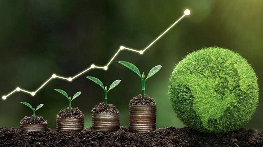solutions for businesses moving towards net zero picture 1