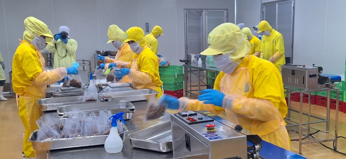 Toàn cảnh năng suất lao động của Việt Nam