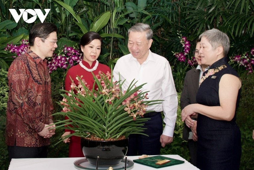 singapore names new orchid after party chief to lam and his spouse picture 1