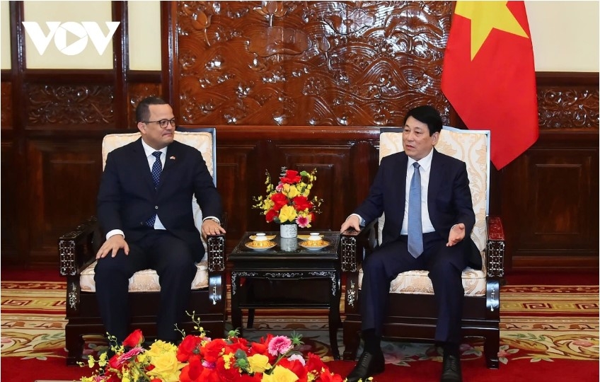 president luong cuong seeks to strengthen comprehensive ties with dominican republic picture 2