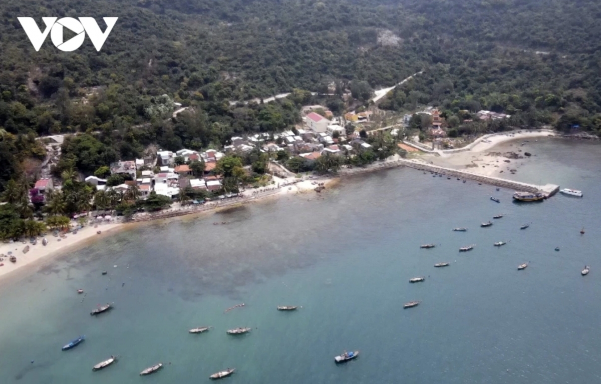 cu lao cham nature reserve established to protect diverse ecosystems picture 1