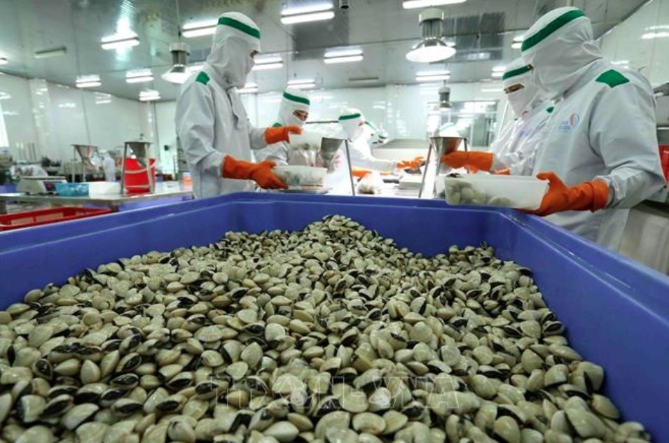 japan remains vietnam s largest seafood export market picture 1