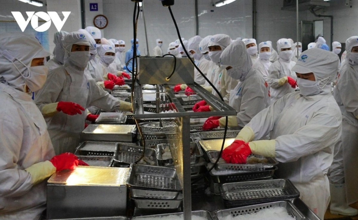 shrimp exports to uk see upswing in january picture 1