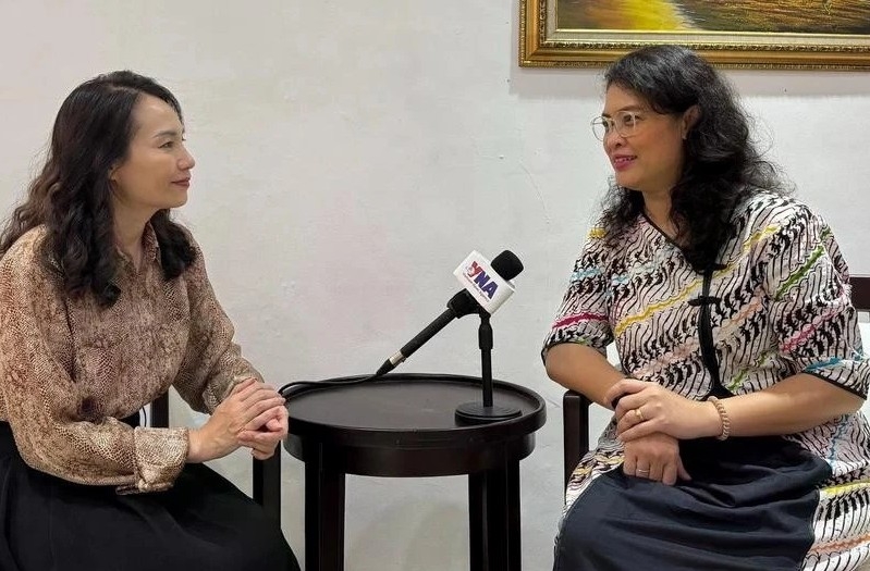 vietnam-indonesia relations an inspiring partnership at new height expert picture 1