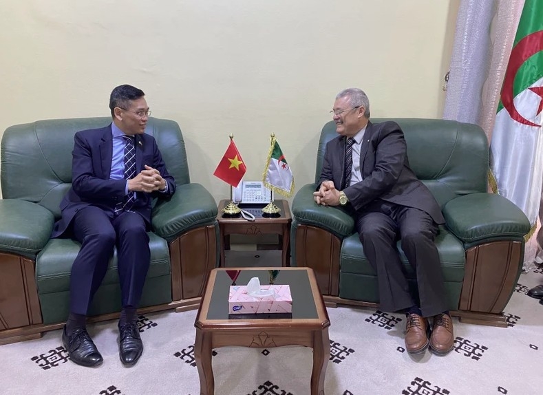 vietnam boosts cooperation with algerian localities picture 1