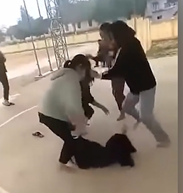 Học sinh tại Nghệ An ẩu đả hội đồng