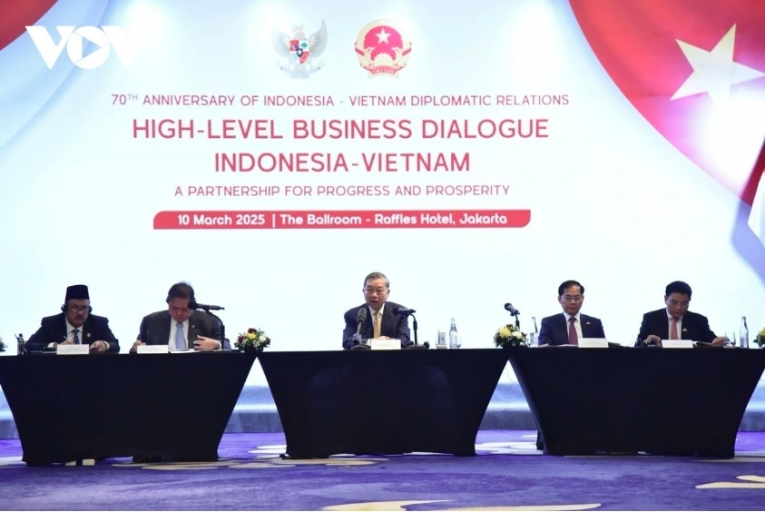 party leader urges indonesian businesses to make long-term investments in vietnam picture 1