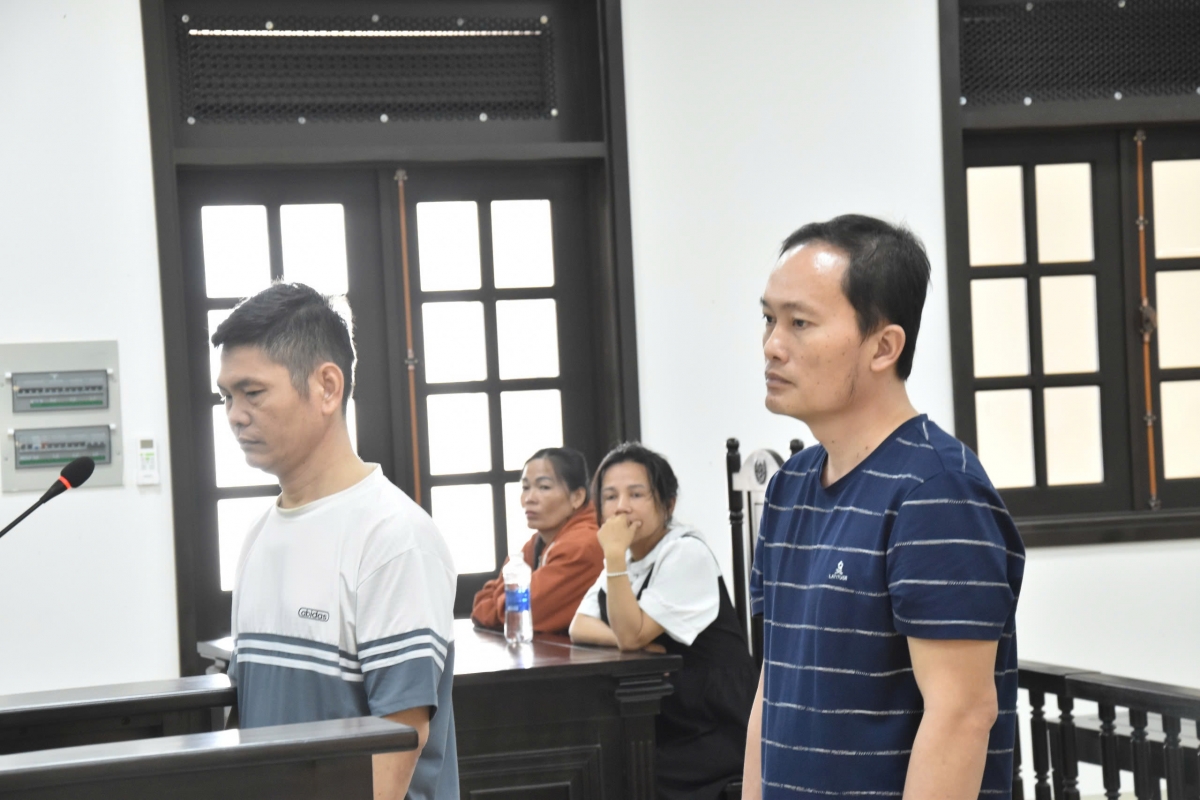 Làm giả thuốc bảo vệ thực vật để bán kiếm lời, hai bị cáo lãnh 20 năm tù