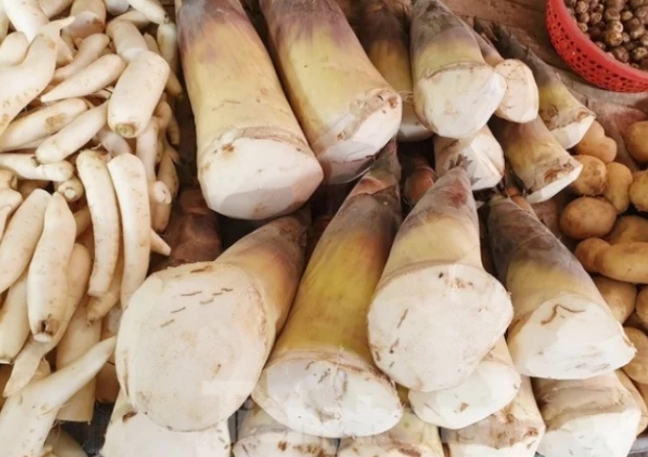 Cách loại bỏ độc tố trong măng tươi hiệu quả nhất