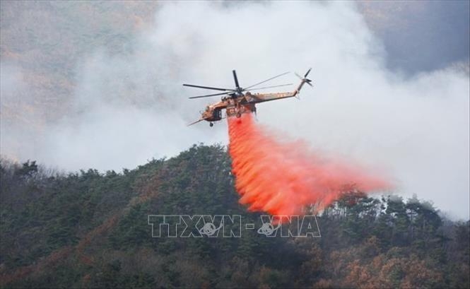 Điện thăm hỏi vụ cháy rừng nghiêm trọng tại hàn quốc hình ảnh 1 Dien tham hoi vu chay rung nghiem trong tai han quoc hinh anh 1