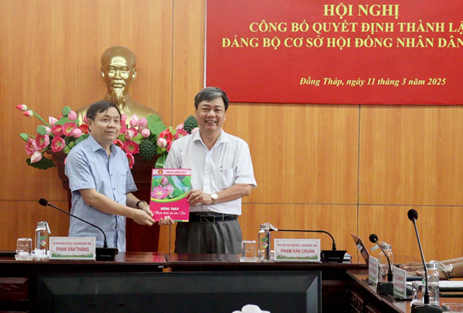 Dong thap cong bo thanh lap Dang bo co so hoi dong nhan dan tinh hinh anh 1