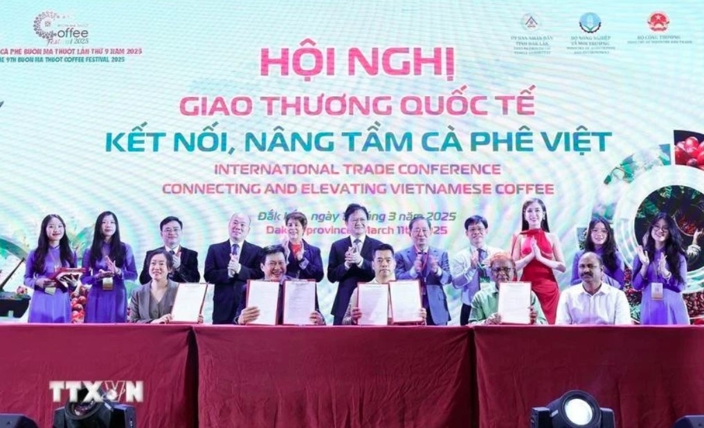 conference looks to boost global standing of vietnamese coffee picture 1