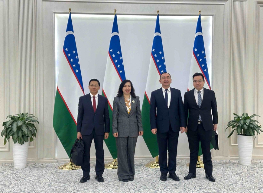 vietnam-uzbekistan political consultation discusses cooperation orientations picture 1