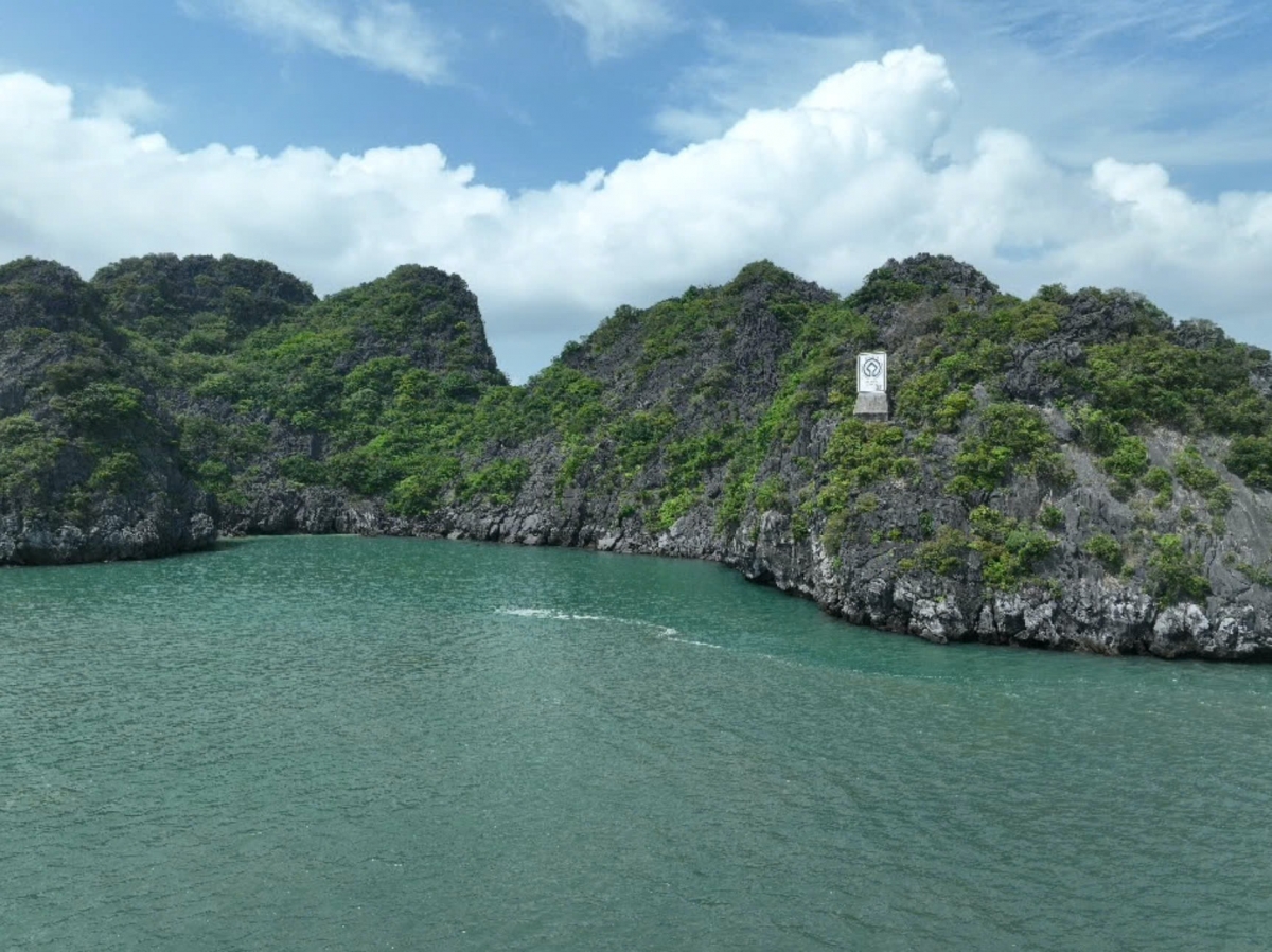 grand pioneers tiên phong mở lối hành trình di sản trên vịnh bái tử long hình ảnh 3 grand pioneers tien phong mo loi hanh trinh di san tren vinh bai tu long hinh anh 3